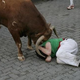 Illustration for article titled Wait, Maybe Running With Bulls Isnt Such A Great Idea?